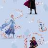 Frozen