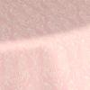 LittleParrot_TDoval_62_Detail