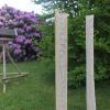 TreeShirtBIO_HB